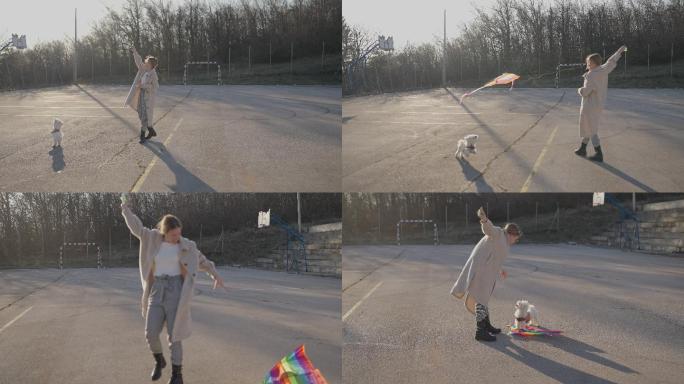 马耳他狗跳跃和玩风筝