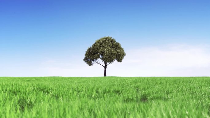 蓝天白云下绿色生态草地上一棵生长茂盛大树