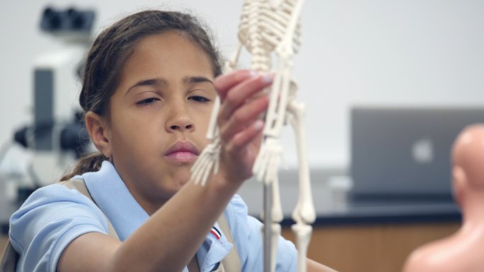 可爱的混血私立学校学生检查人体骨骼模型
