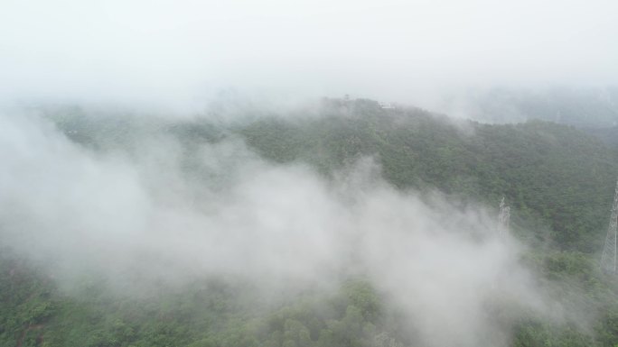 【正版素材】深圳塘朗山郊野公园