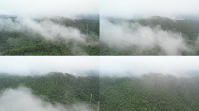 【正版素材】深圳塘朗山郊野公园