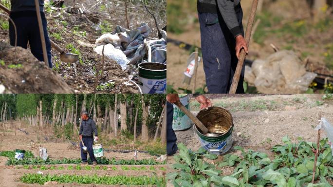 4k农民种菜浇菜