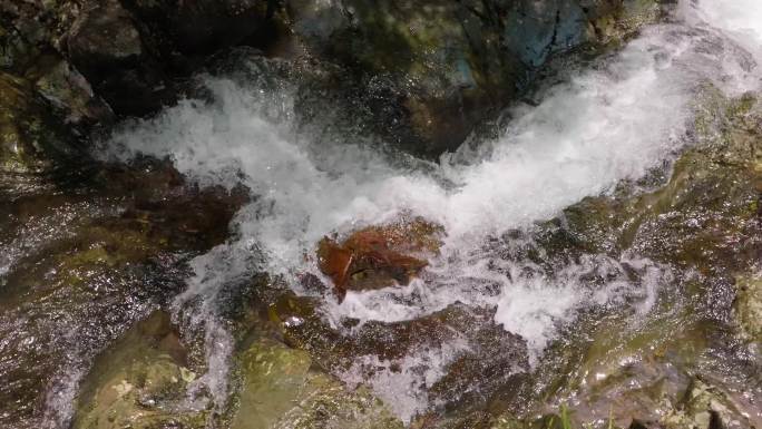 水流小河流清澈生态绿色自然环保流水慢动作