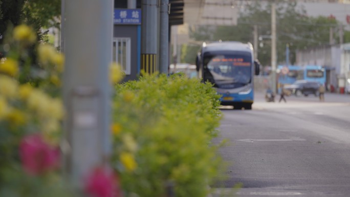 【4K原创】路边花朵和公交车