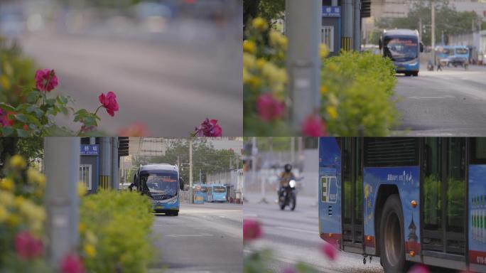 【4K原创】路边花朵和公交车