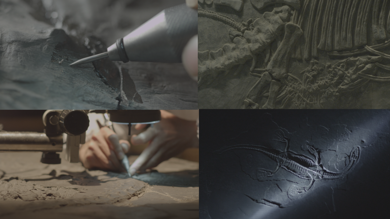 4K 暗室下科研考古清理中国龙化石
