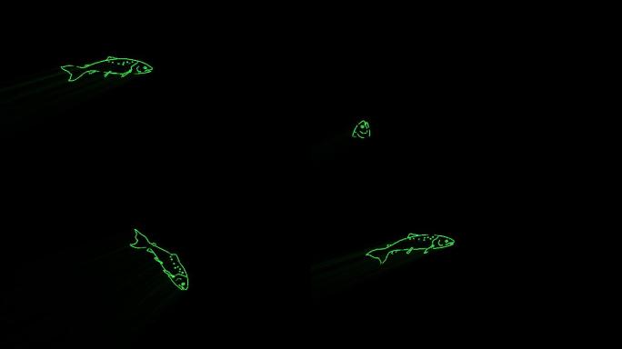 激光灯投影-激光鱼跳-激光秀-激光表演