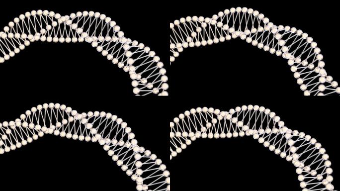 生物链状结构3D渲染