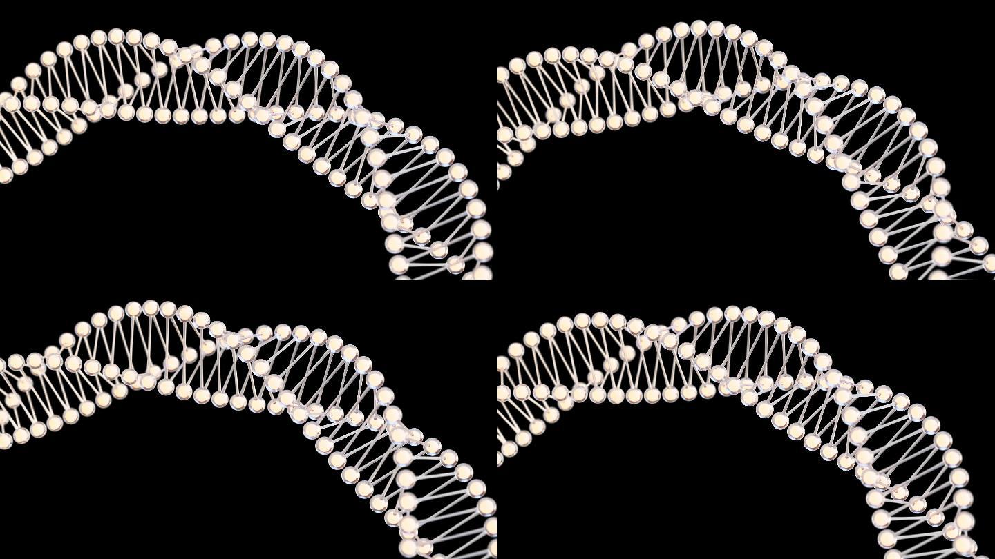 生物链状结构3D渲染