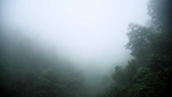 雾天山林