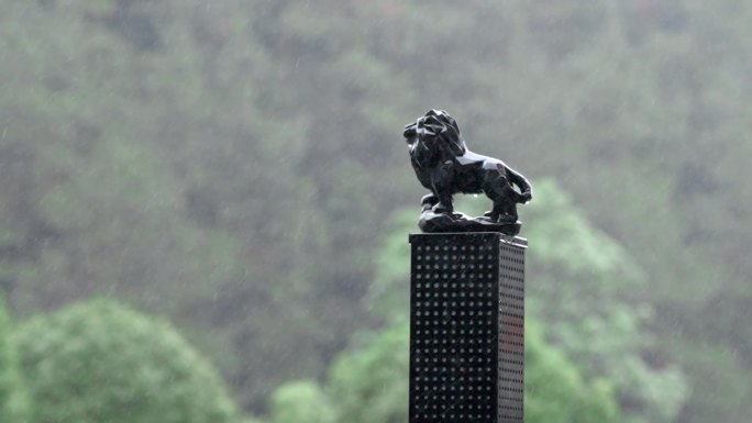 雨中迎宾狮子