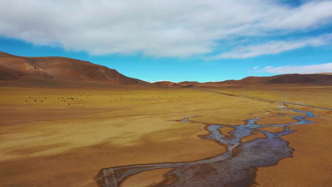 西藏青藏高原五彩荒凉河流雪山