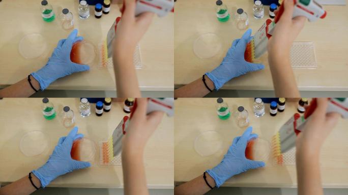 研究人员在实验室用移液管移取医学样品