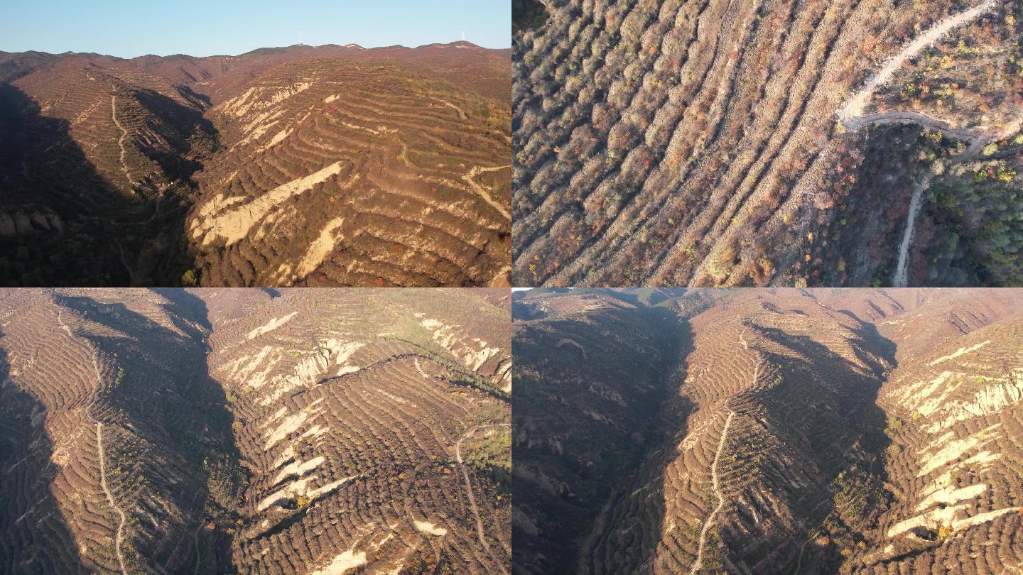 黄土高原荒山生态修复造林工程