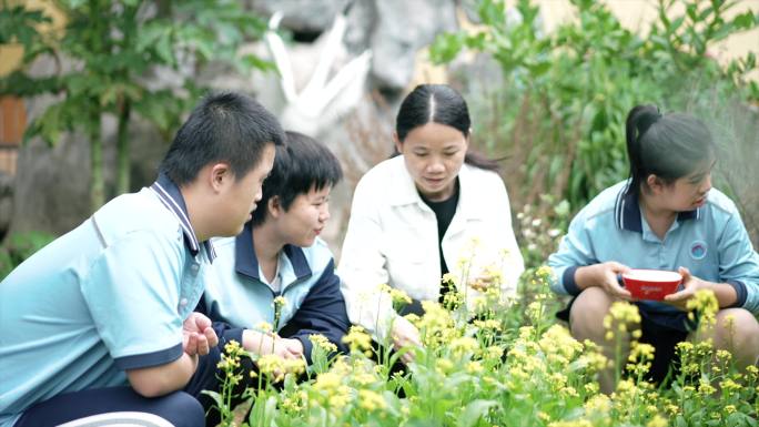 老师带自闭症儿童认识植物