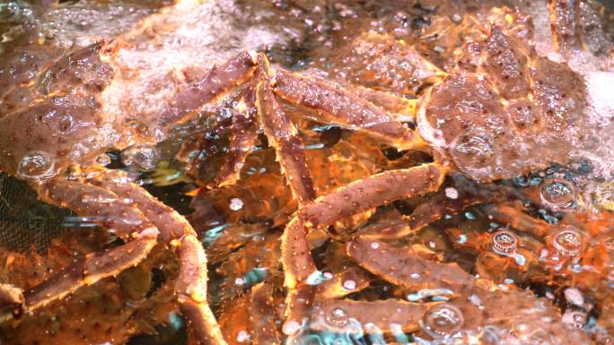 日本北海道日本海鲜市场水箱中的活帝王蟹