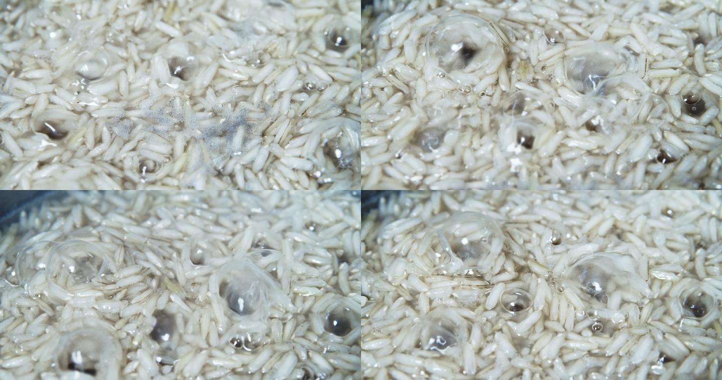 慢镜头下煮饭米饭的特写镜头