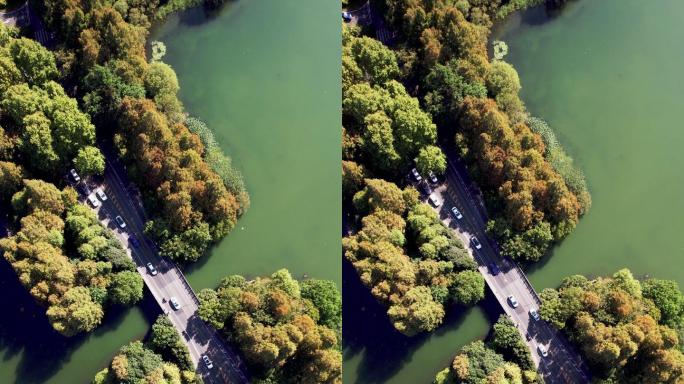 穿过湖泊和树木区域的道路鸟瞰图