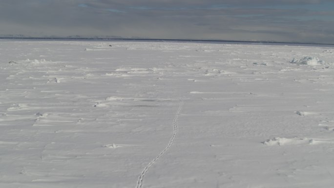 无人机拍摄了雪地里的动物足迹