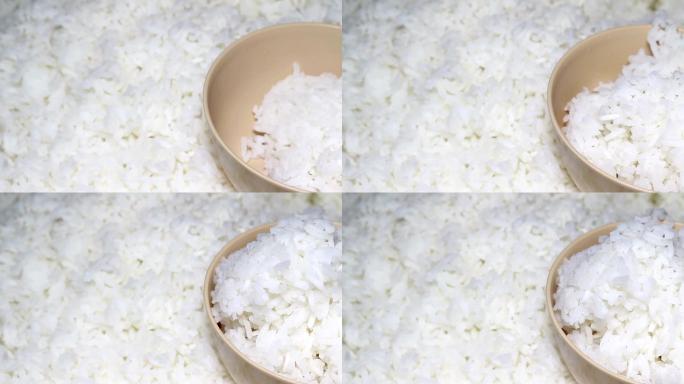 茉莉米饭大米饭