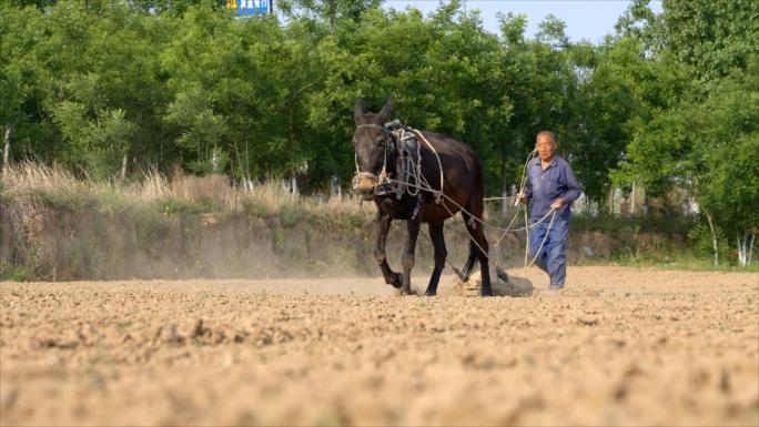 4K偏远贫困山区农民耕地农村落后种地粮食