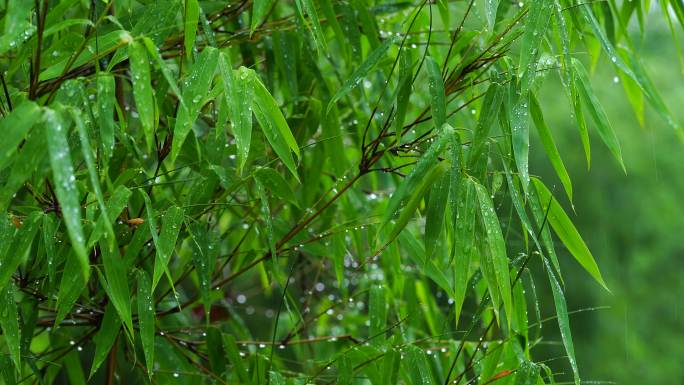 降雨降水冻雨滋润湿润