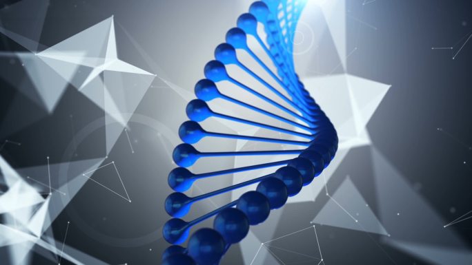 4K DNA背景-可循环