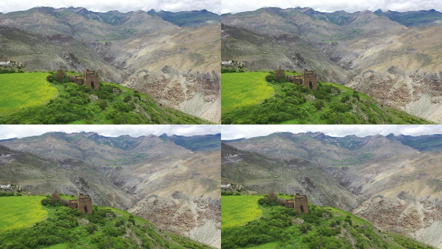 原创西藏山南市措美洛扎县藏式碉楼田园风光