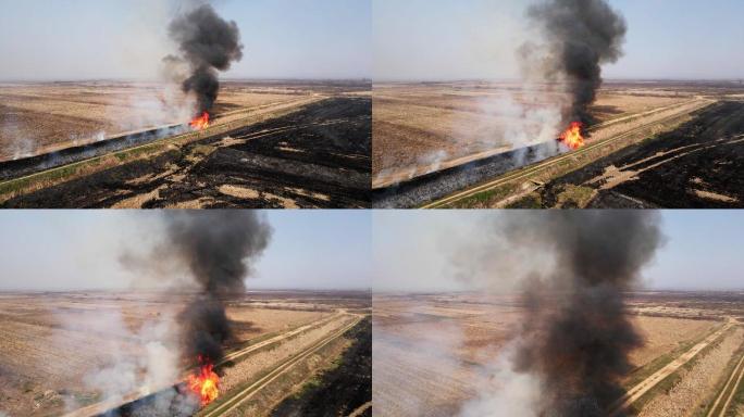 农田燃烧火焰的鸟瞰图，了解土壤肥力。