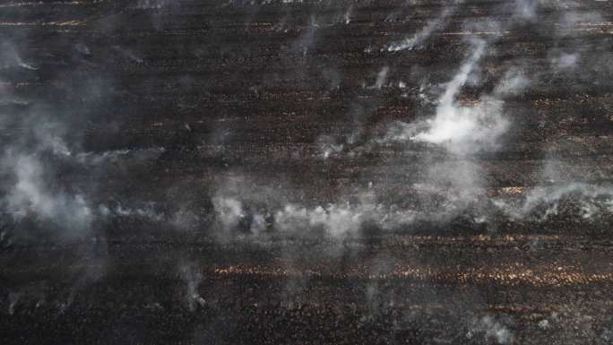 农田燃烧火焰的鸟瞰图，了解土壤肥力。