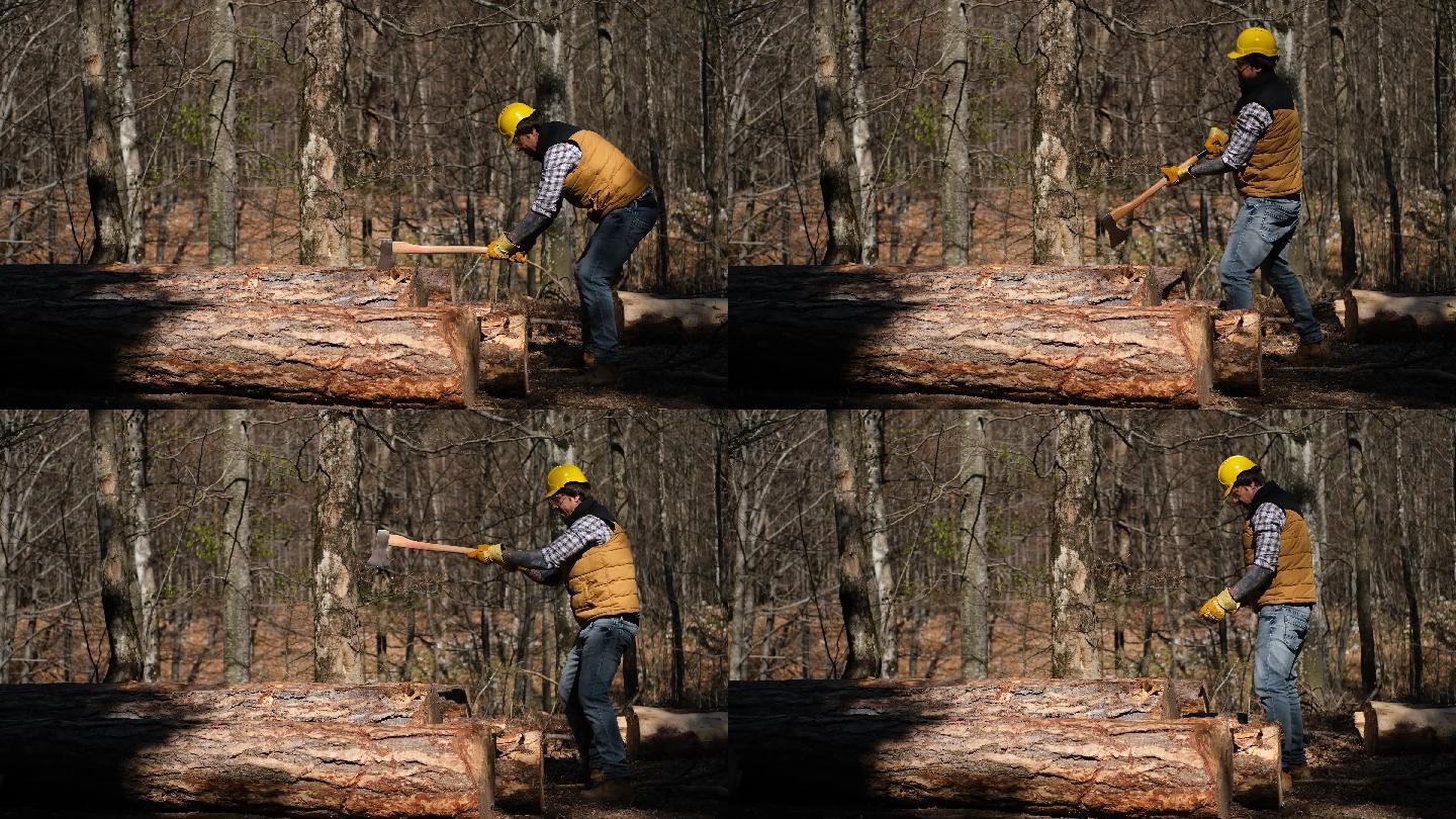 一个男人砍树时松开斧头的有趣视频。