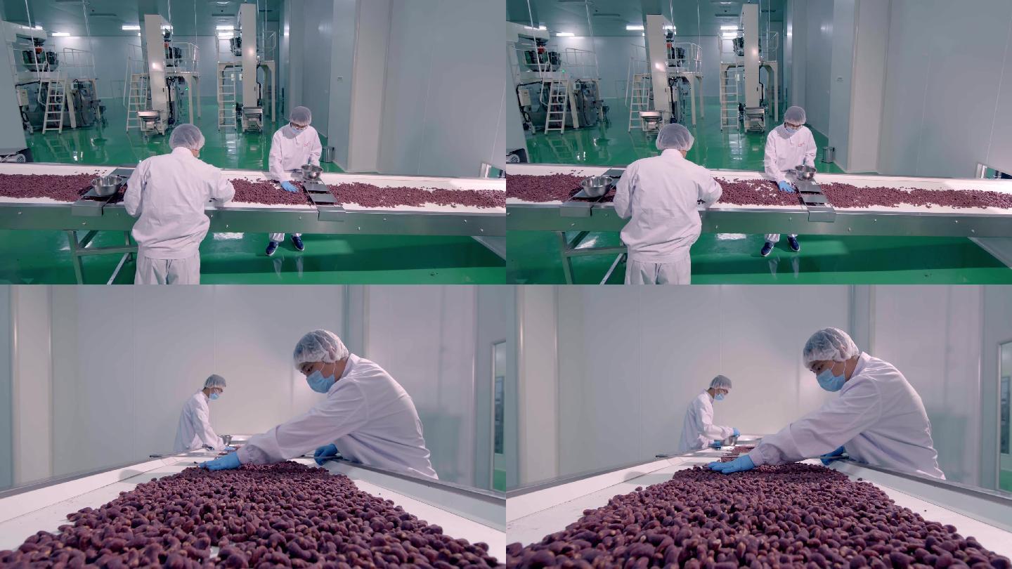 坚果生产 坚果工厂 冻干粉坚果