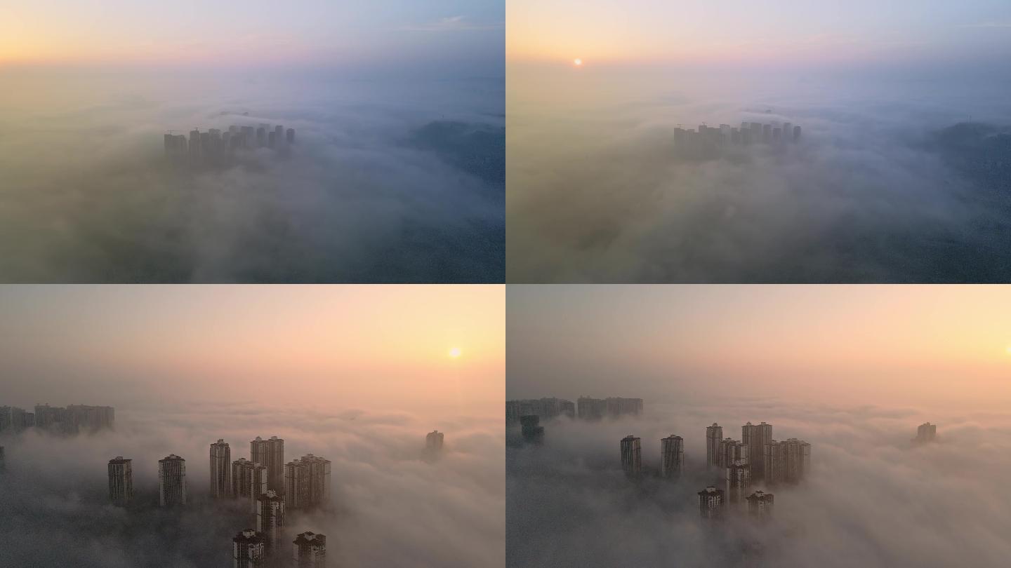 云海 平流雾 日出