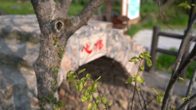 玉环大麦屿街道联丰村小景特写