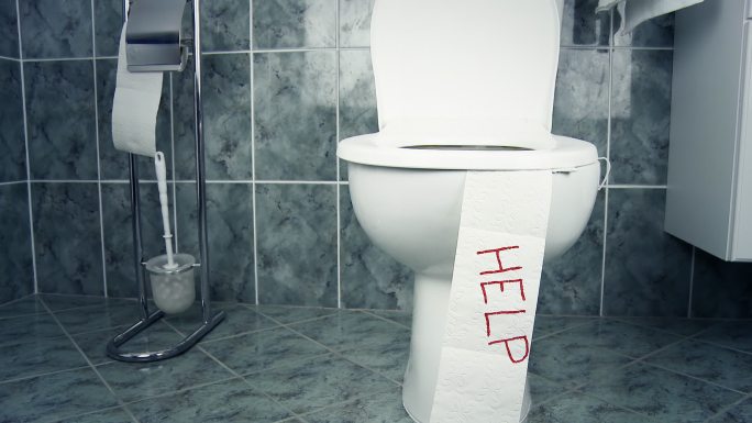 HD DOLLY：消化问题的概念性厕所