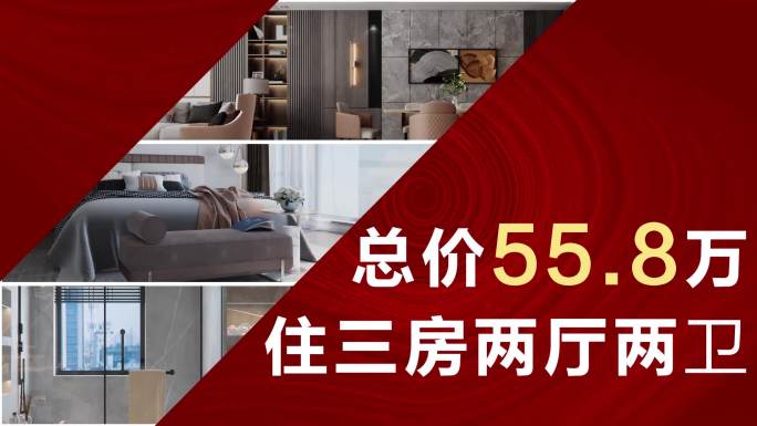 地产快闪动感认筹热销户型AE模板