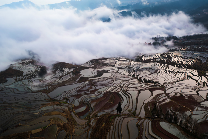 【4K】大气恢弘的云海梯田多景别