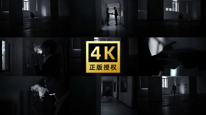 【正版授权】男人破产失意4K