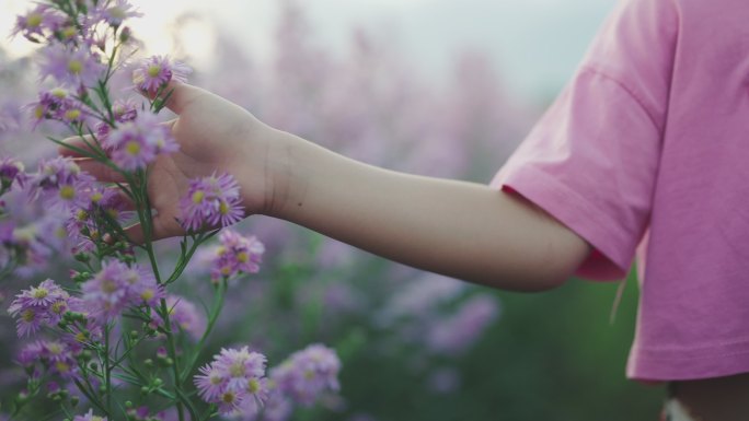 慢动作。女孩的手抚摸着白花的花朵。