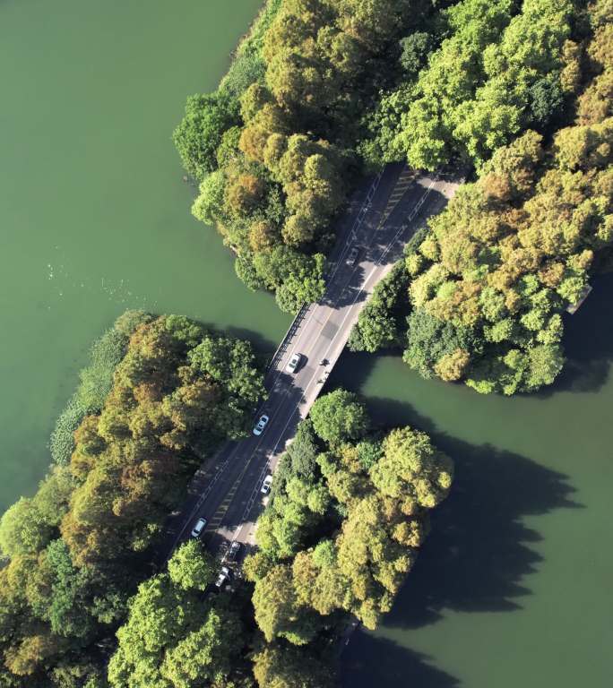 穿过湖泊和树木区域的道路鸟瞰图