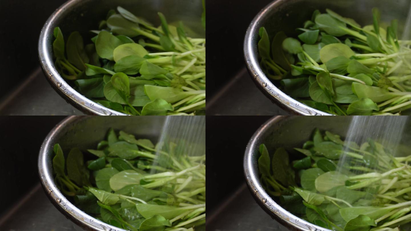 清洗菠菜苗沥水洗菜做菜 (2)