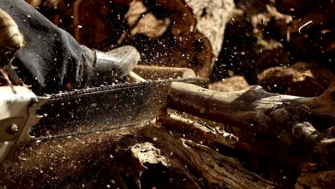 电锯在锯木头。用锯子、灰尘和动作切割木头的人。