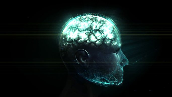 神经系统概念三维人脑投影