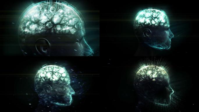 神经系统概念三维人脑投影
