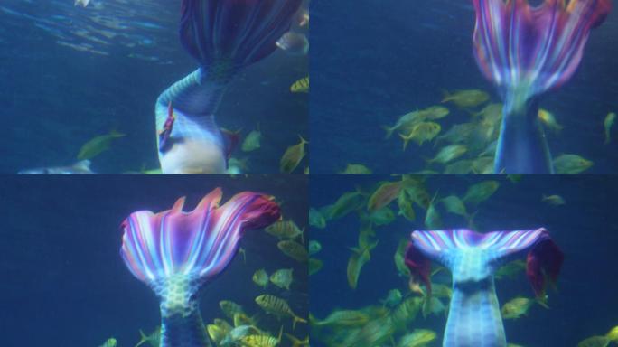 潜水员水下表演美人鱼海底 (3)