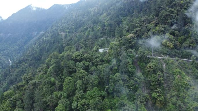 高黎贡山独龙江公路夏季航拍