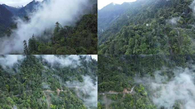 高黎贡山独龙江公路夏季航拍