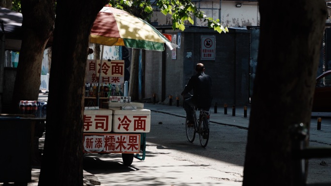 夏日午后 树荫阳光 猫 小巷