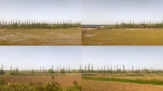 西班牙巴伦西亚阿尔布费拉的耕地