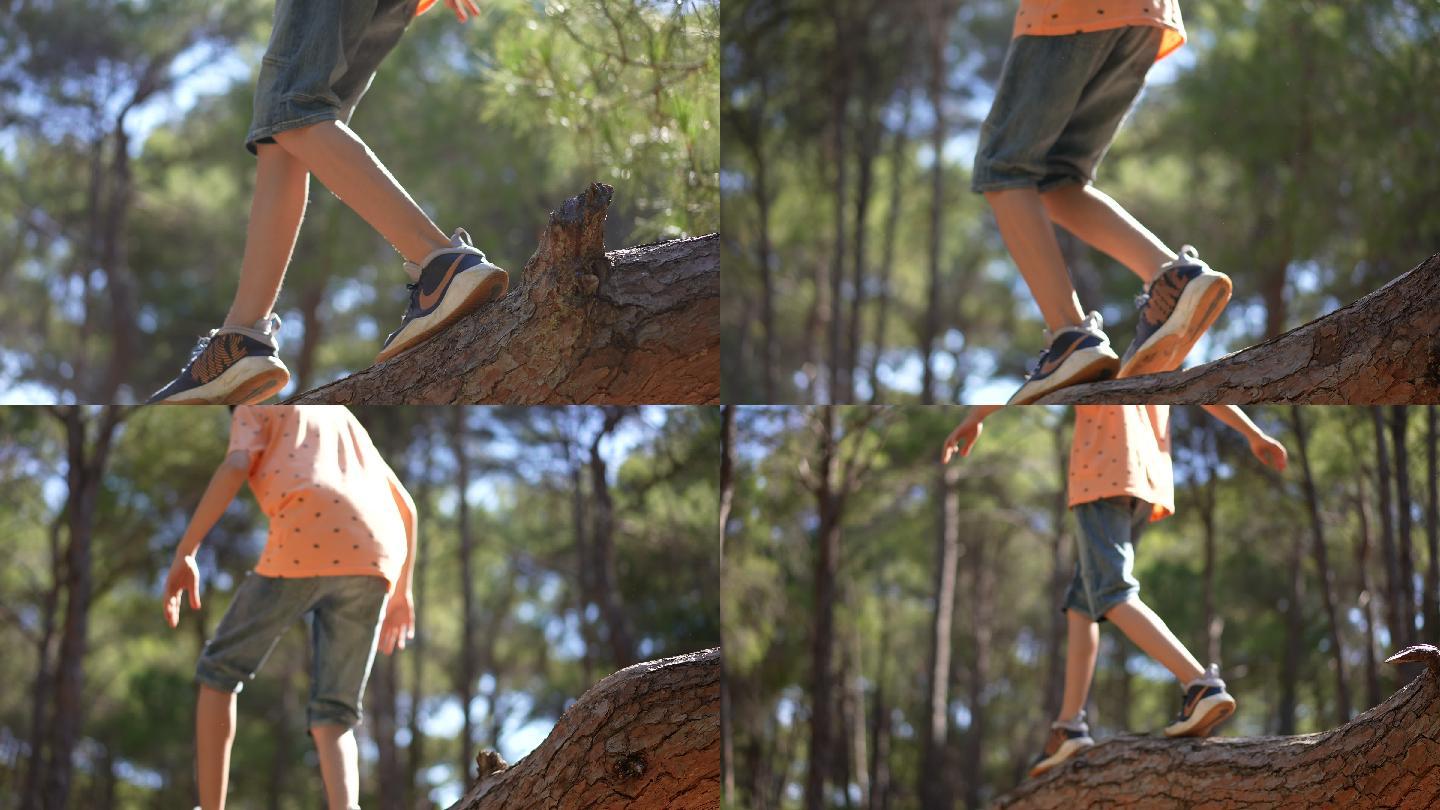 特写男孩的腿在森林里倒下的树上保持平衡
